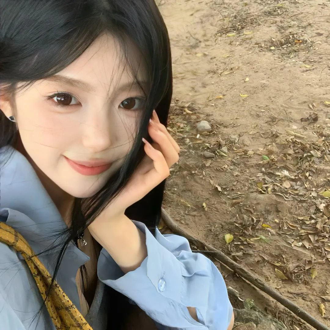 龟甲秘事之拨云见日